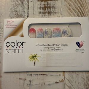 Color Street-Snow Biz